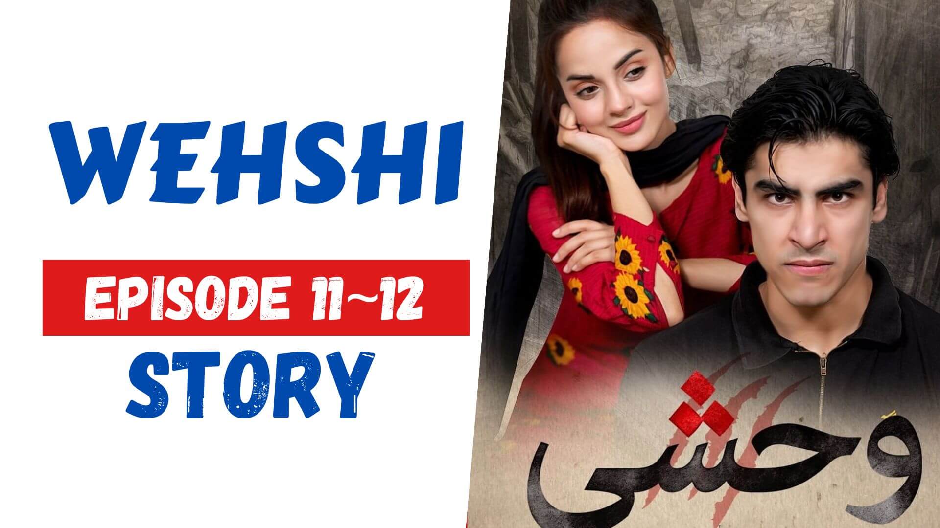 Wehshi Episode 11_12 Story