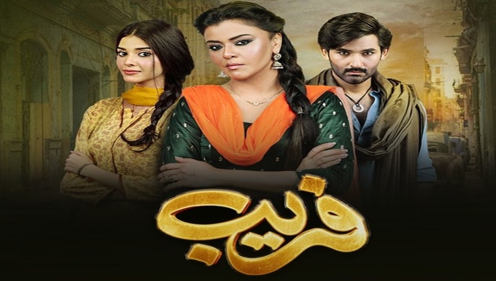 Fareb Hum TV Drama